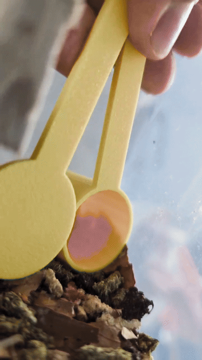 InsectScoop – Futtertier-Einfanghilfe für Heimchen, Grillen & Co. (PETG, 3D-Druck, viele Farben)